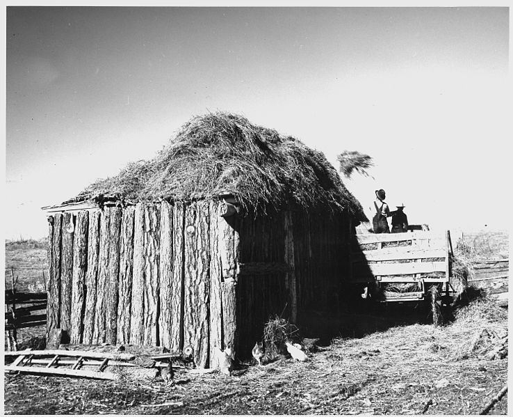 File:Taos County, New Mexico. Pitching hay to roof of outbuilding, Arroyo Seco. - NARA - 521826.jpg