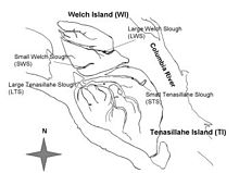 Map of Tenasillahe and Welch Islands Tenasillahe Welch Islands.jpg