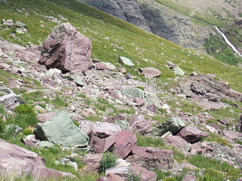 File:The Glacial conveyor belt left this scree field scattered over and blocking the spur trail leading from Lake Ellen Wilson to the junction above with the Gunsight Pass Trail. July 2007 - panoramio.jpg