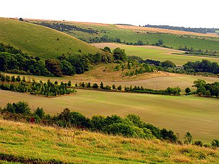 <span class="mw-page-title-main">Inkpen and Walbury Hills</span>