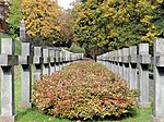 English: The cemetery on the slopes of Citadel in Warsaw Polski: Cmentarz na stokach Cytadeli w Warszawie This is a photo of a monument in Poland identified by the ID: PL-625029. This is a photo of a monument in Poland identified by the ID: PL-710170.