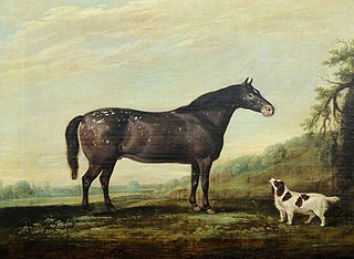 'Mouse' a Grey Pony and a Spaniel in a Landscape