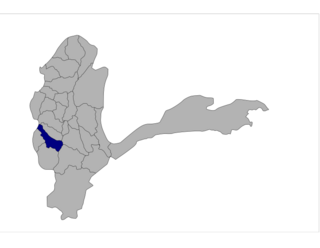 <span class="mw-page-title-main">Tishkan District</span> Place in Badakhshan, eastern Afghanistan