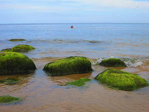 Rocky sea beach holiday (Estonia) 1