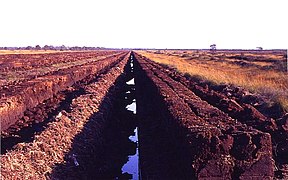 Extracción de turba no leste de Frisia, Alemaña