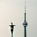 Um poste de luz (em primeiro plano) e a Torre CN de Toronto (à distância)