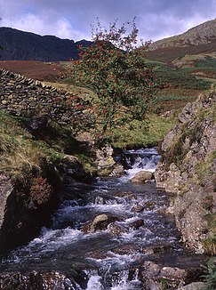 The Torver Beck