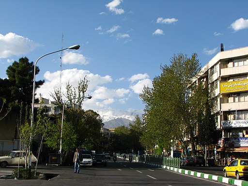 Trees,Tochal Mountin in Merzaye Shirazi Ave. At 2011 Spring - panoramio (4)