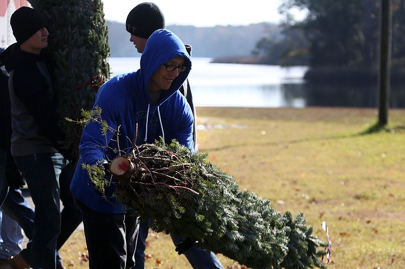 File:Trees for Troops donate hundreds of trees during holiday season 151208-M-RH401-015.jpg