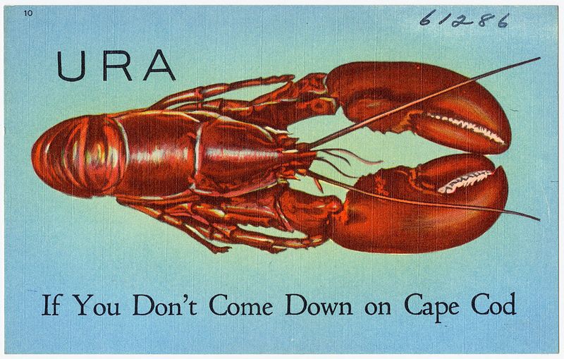 File:URA Lobster, if you don't come down on Cape Cod, Mass (61286).jpg