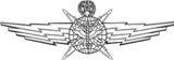 USAF Cyberspace Operator Badge-Master.png