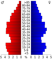 Bevolkingspiramide Morgan County