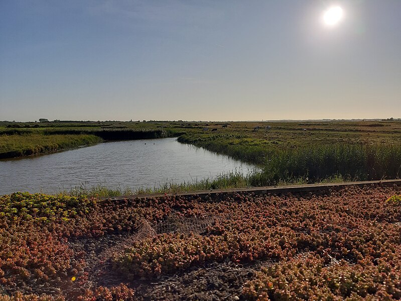 File:Uitkerkse Polders 01.jpg