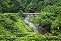 2021年7月23日 (金) 05:49時点における版のサムネイル