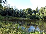 Birkenweiher mit Ober- und Unterholzweiher