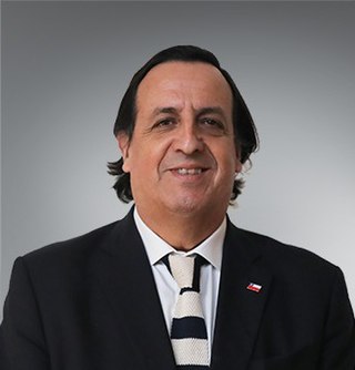 <span class="mw-page-title-main">Víctor Pérez Varela</span> Chilean politician