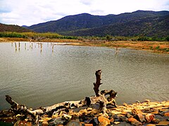 Vallimadurai Dam.JPG