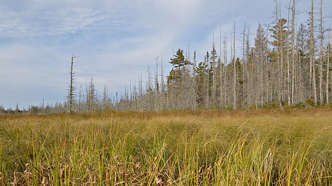 View from Amable du Fond River