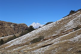 A view of snow filled mountain and Rolwaling Himal range seen in background by Sishir Panthi