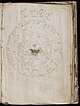 Voynich Manuscript (133).jpg