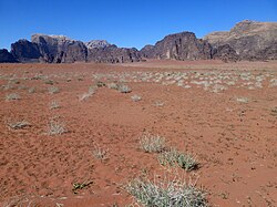 Wadi Rum-Remth (6).jpg