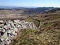 Thumbnail for File:Walls On Cefn Tal-llyn-eigiau - geograph.org.uk - 5390925.jpg