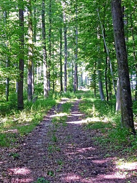 File:Wanderweg bei Nürtingen - panoramio.jpg