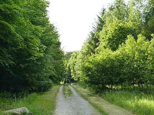 Wapitiweg im Glemswald bei Stuttgart