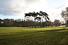 Weelsby Woods - geograph.org.uk - 1079017.jpg