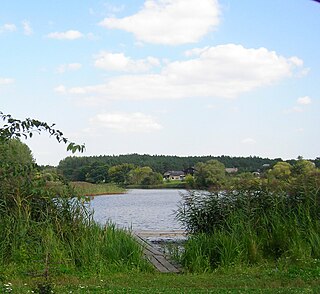 <span class="mw-page-title-main">Kodra, Ukraine</span> Rural locality in Kyiv Oblast, Ukraine