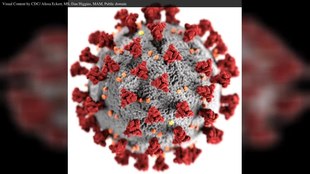 Fayl:Wikipedia-VideoWiki-Coronavirus disease 2019.webm
