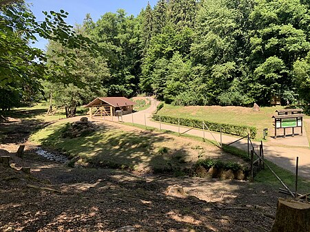 Wildpark Brudergrund Gelaende