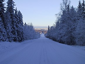 Wintery-road.JPG