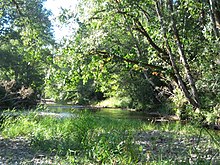 The Wishkah River near Hoquiam, Washington.