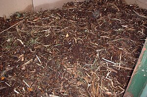 Vermicompost