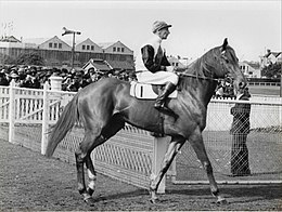 Yaralla, 1941 winner Yaralla 1940 AJC Breeders Plate Randwick Racecourse Jockey Ted McMenamin Trainer Fred Cush.jpg