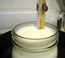 https://upload.wikimedia.org/wikipedia/commons/thumb/4/40/Yogurt_180.jpg/220px-Yogurt_180.jpg