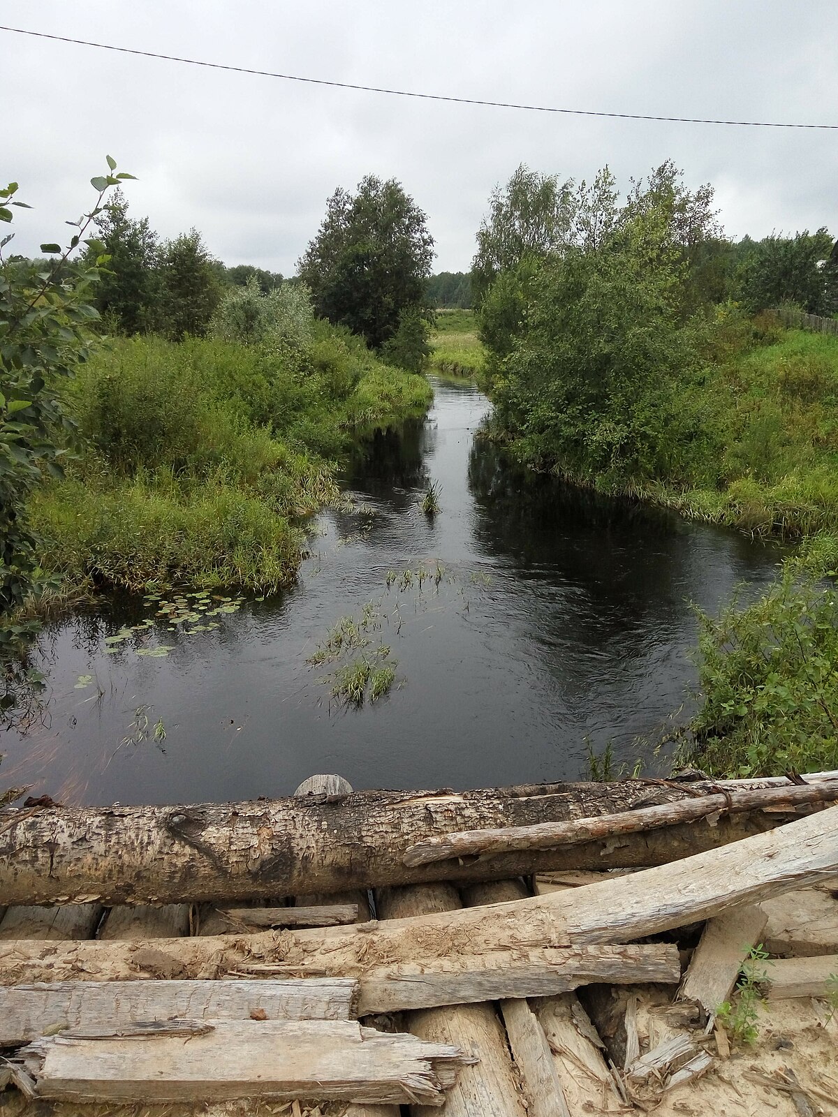 река полисть старая русса