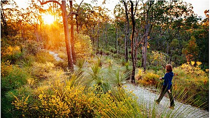 How to get to Chermside West with public transport- About the place