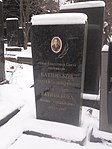 Могила, в которой похоронен Батиньков Сергей Алексеевич (1920-1985), Герой Советского Союза