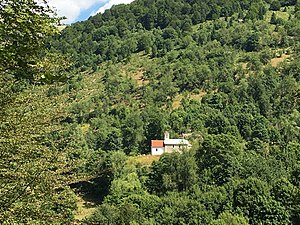 Богдево: Географија и местоположба, Историја, Стопанство