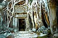 Ta Prohm oraz drzewo Banyan