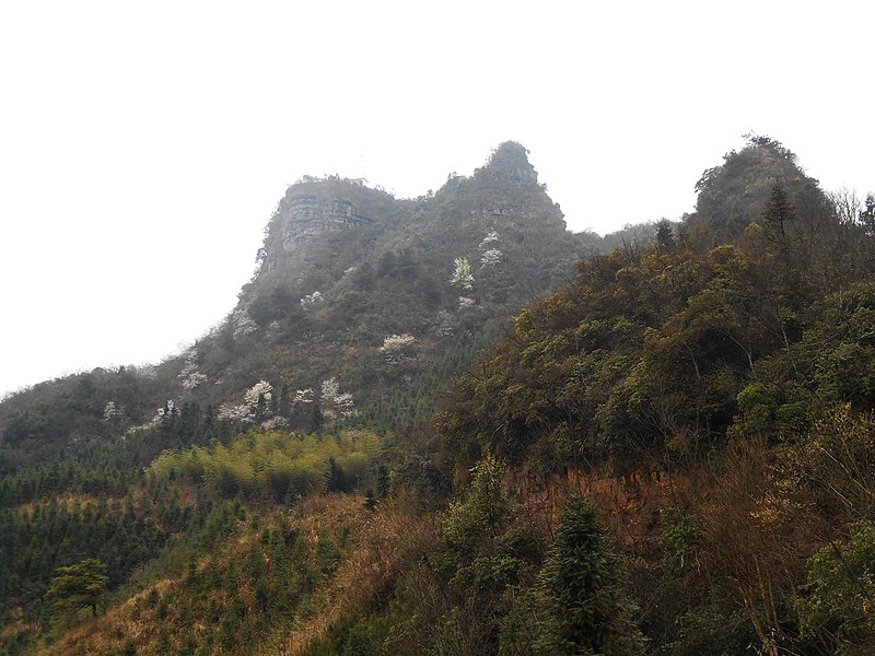 File:永同到黄泥江-桂穿越 - panoramio (7).jpg