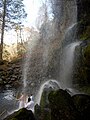 2019年4月17日 (水) 09:54時点における版のサムネイル