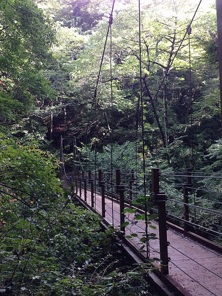 File:高尾山のつり橋（みやま橋） - panoramio.jpg