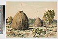 Kaks heinakuhja (akvarell, 1941)