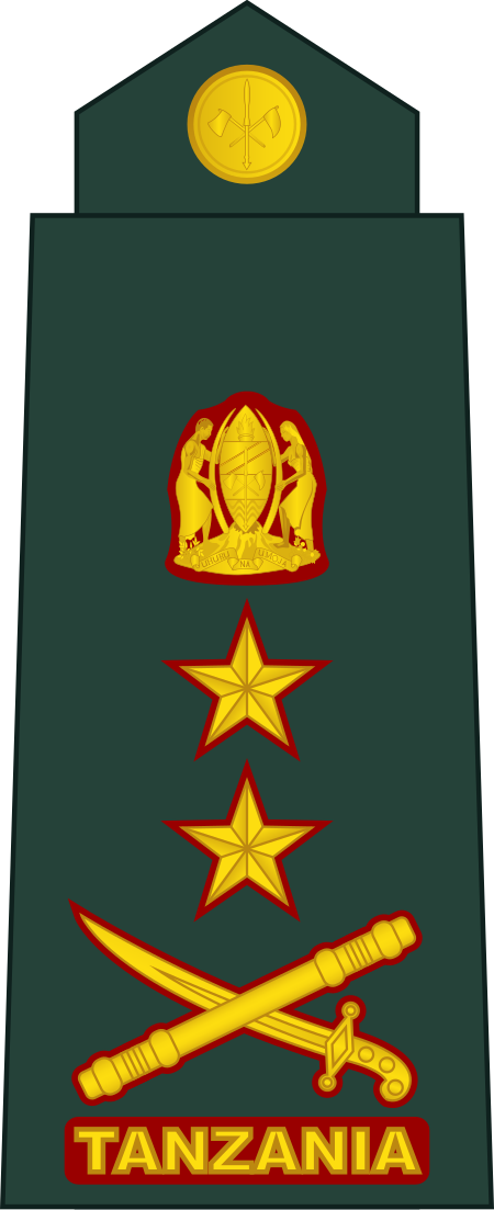 ไฟล์:15-Tanzania_Army-MG.svg