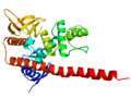 Thumbnail for ERM protein family