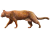 202104 Cat.svg