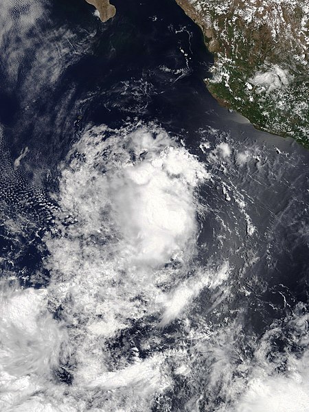 2019 Pacific hurricane season